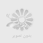 سئو و بهینه سازی سایت